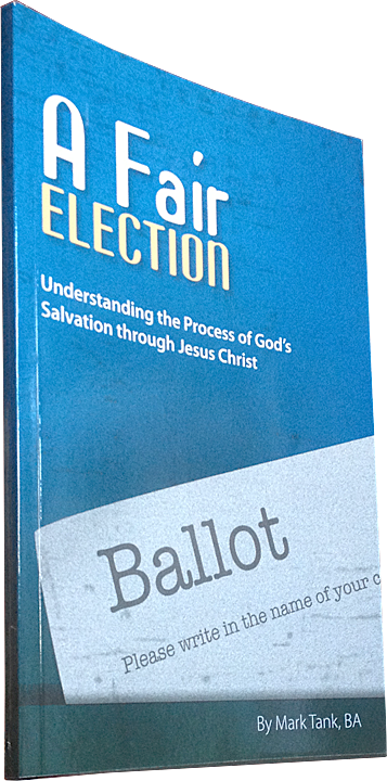 Cover of A Fair Election