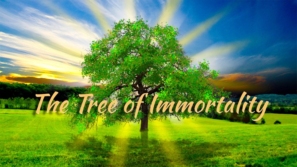 The Tree of Immortalityv2