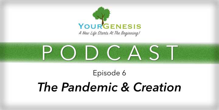 Your Genesis Pandemic & Creation