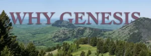 Why Genesis